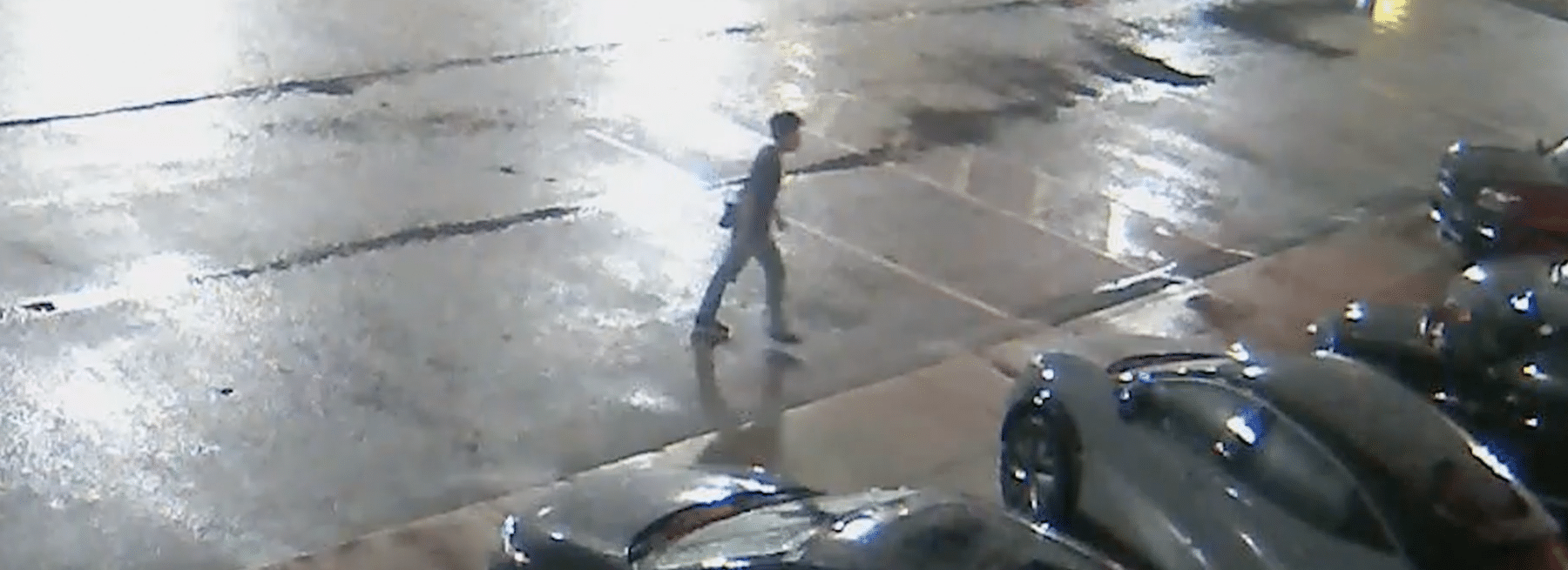 Burglar removed from auto dealership