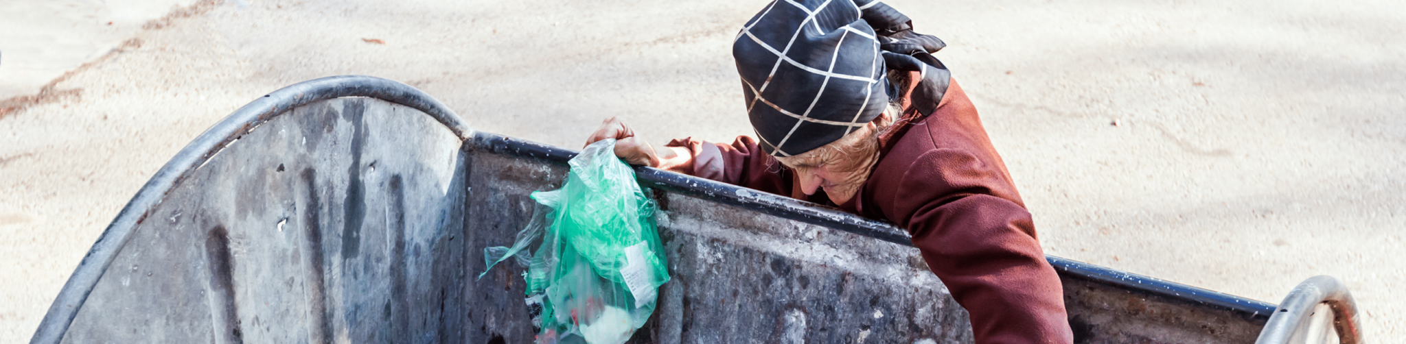 Dumpster Diving Nuisance