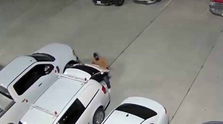 Fence Climber Breaks Into Cars hero scaled 1