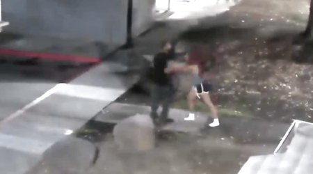 Live Video Monitoring Catches Domestic Dispute Turning Physical Hero