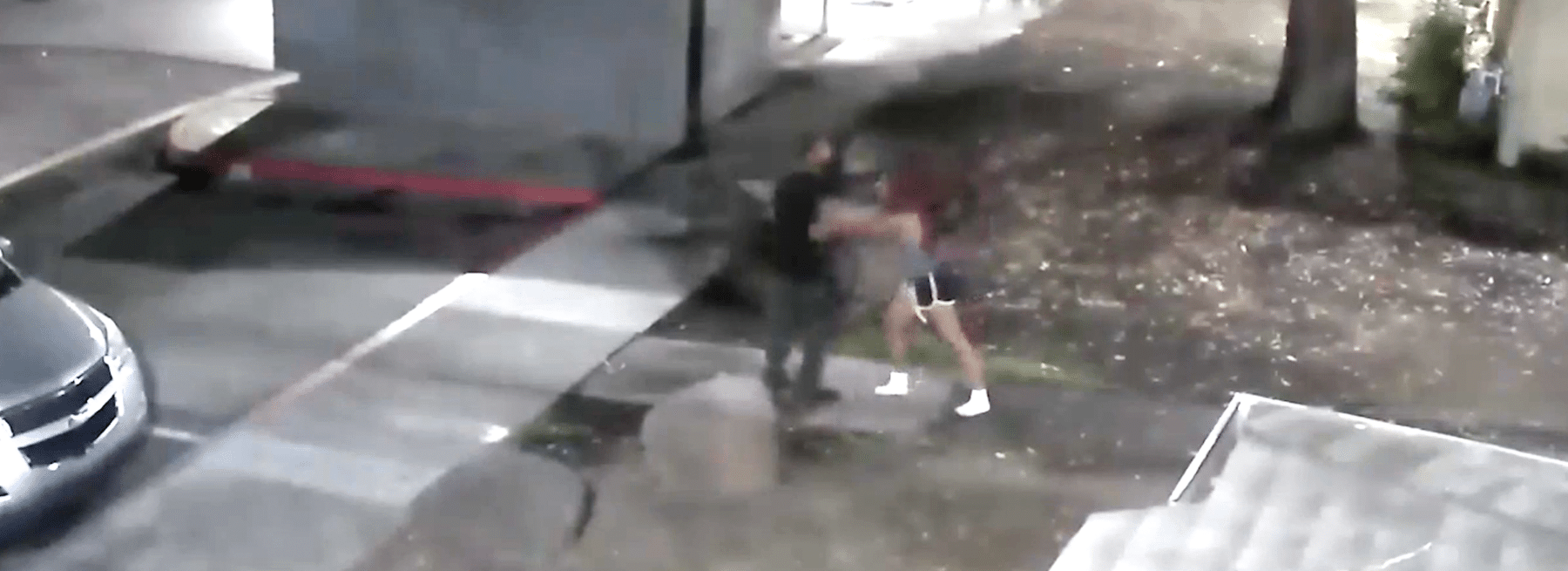 Live Video Monitoring Catches Domestic Dispute Turning Physical Hero