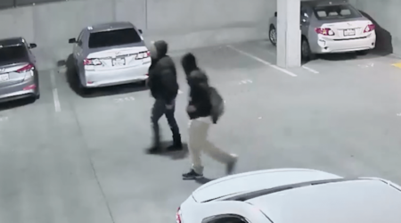 Pair Prowling Apartment Parking Captured Hero