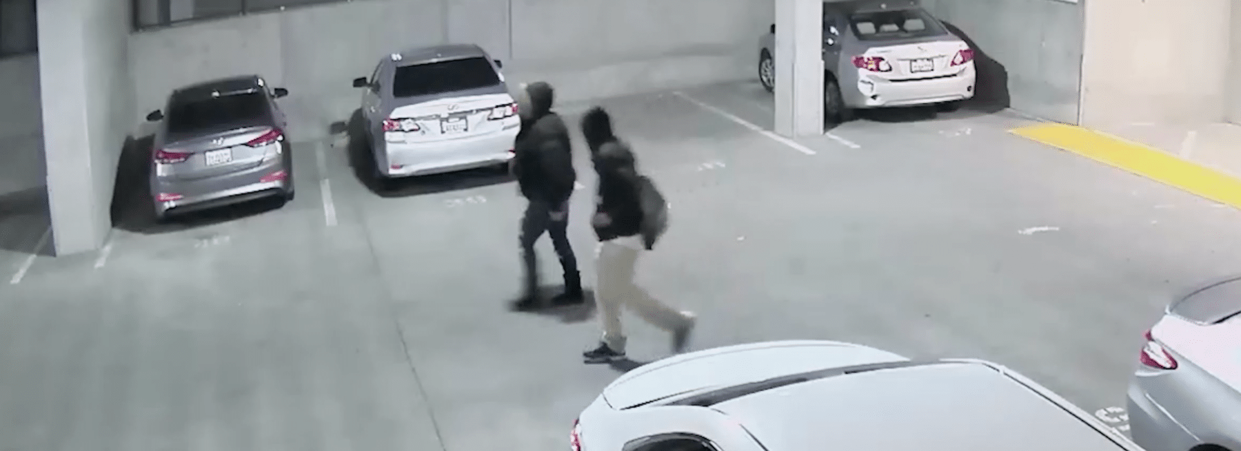 Pair Prowling Apartment Parking Captured Hero