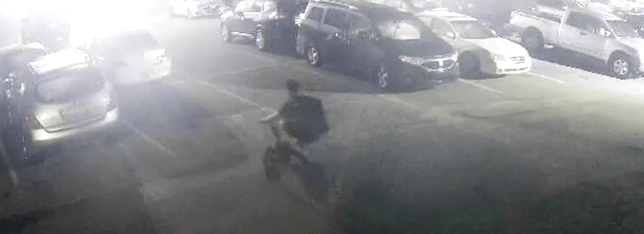 Police Chase Down Bicycle Rider Trespassing at Auto Dealership Hero