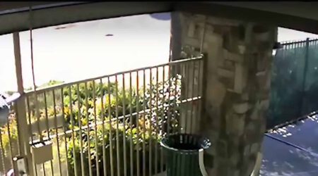 Speaker Warning Stops Kid Climbing Apartment Pool Fence hero scaled 1