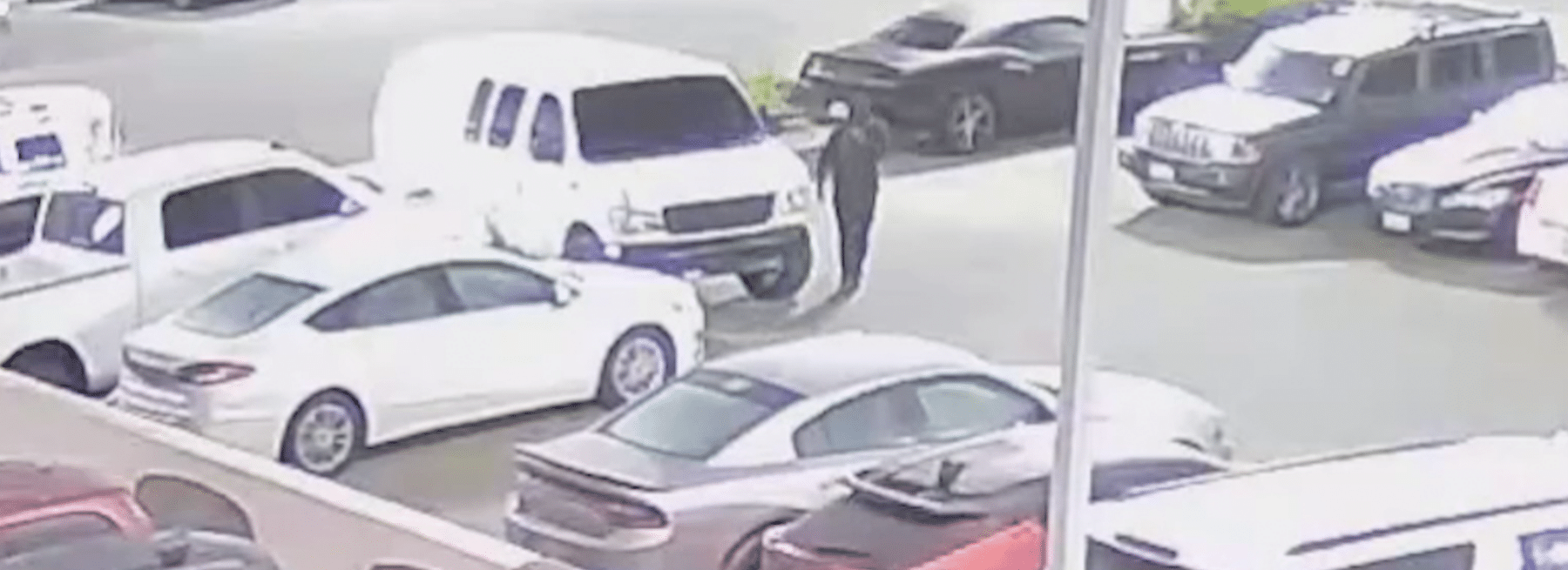 Suspect Arrested at Car Lot After Caught Tampering Under Vehicles Hero