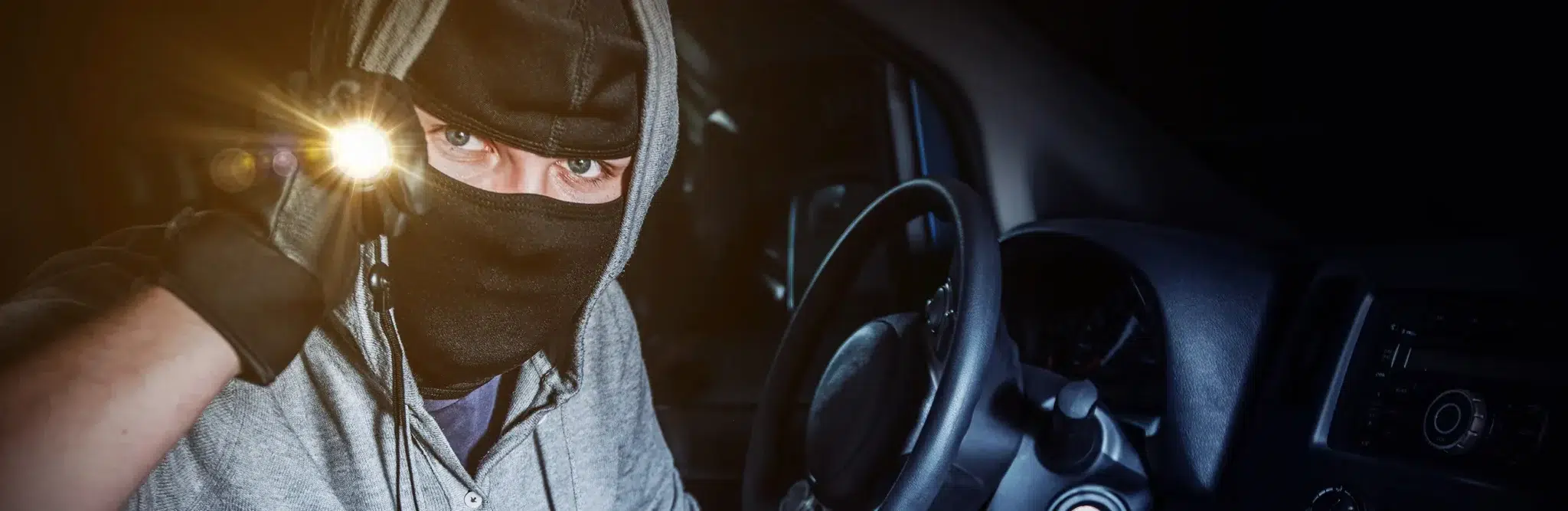 Vehicle theft insights